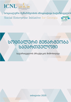 Social Entrepreneurship In Georgia
