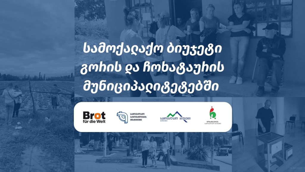 მოქალაქეთა იდეები მუნიციპალიტეტებს